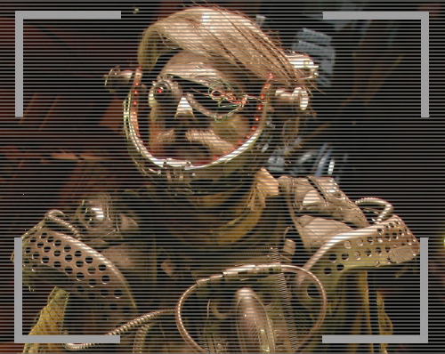 Hogey the Roguey